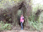 P2280099.JPG (863840 bytes)