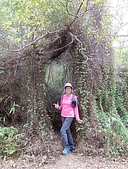 P2280100.JPG (927234 bytes)