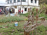 P2280131.JPG (862571 bytes)