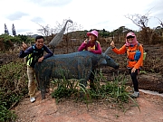 P2280147.JPG (674428 bytes)