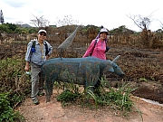 P2280150.JPG (812795 bytes)