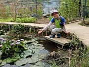 P4040035.JPG (799982 bytes)
