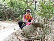 P5020017.JPG (744906 bytes)