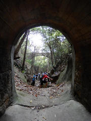 P6200065.JPG (298497 bytes)