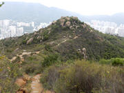 P6270092.JPG (370580 bytes)