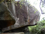 P6270149.JPG (510802 bytes)