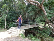 P9190051.JPG (606786 bytes)