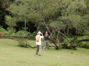 P9190054.JPG (692245 bytes)