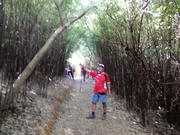 PB070089.JPG (332239 bytes)