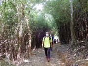 PB070095.JPG (612463 bytes)