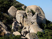 PC050003.JPG (479732 bytes)