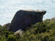 PC050083.JPG (606615 bytes)