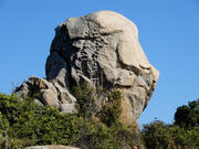 PC050118.JPG (447360 bytes)