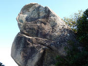 PC050207.JPG (457753 bytes)