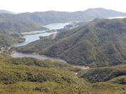 P1300053.JPG (459232 bytes)