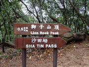 P2030035.JPG (589920 bytes)