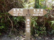 P4100054.JPG (612303 bytes)