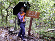 P5010058.JPG (555122 bytes)