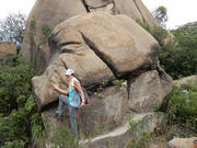 P6050113.JPG (636113 bytes)