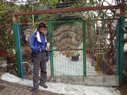 P9110007.JPG (524809 bytes)