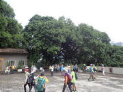 P9110020.JPG (371104 bytes)