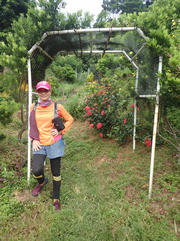 P9110032.JPG (580657 bytes)