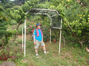 P9110033.JPG (628210 bytes)