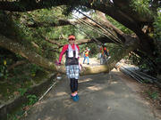 P9110040.JPG (458221 bytes)