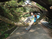 P9110041.JPG (474884 bytes)