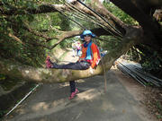 P9110042.JPG (443937 bytes)