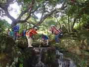 P9110045.JPG (539792 bytes)