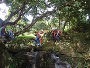 P9110046.JPG (531842 bytes)