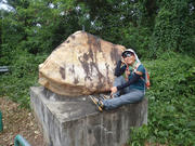 P9110056.JPG (475809 bytes)