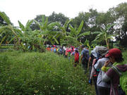 P9110064.JPG (461361 bytes)