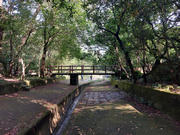 pic_KK_Lau_008.jpg (716731 bytes)