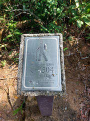 pic_KK_Lau_028.jpg (374672 bytes)