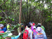 P1150006.JPG (512663 bytes)