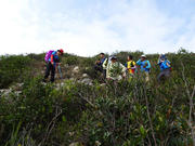 P1150034.JPG (410376 bytes)