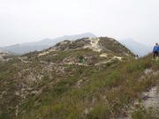 P2050105.JPG (299791 bytes)