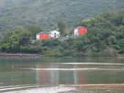 P2190022.JPG (401549 bytes)