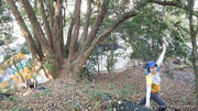pic_CW_Ho_030.jpg (506729 bytes)