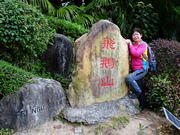 P3190003.JPG (468997 bytes)