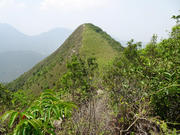 P4160013.JPG (521579 bytes)