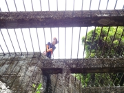 P4300028.JPG (427551 bytes)