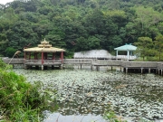 PC030026.JPG (596820 bytes)