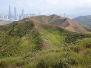 P2180056.JPG (484060 bytes)