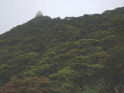 P2250067.JPG (222295 bytes)