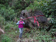 P3100023.JPG (441136 bytes)