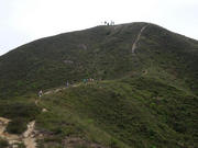 P3100059.JPG (292993 bytes)
