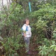 Thumbnail of pic_KC_Chan_005.jpg